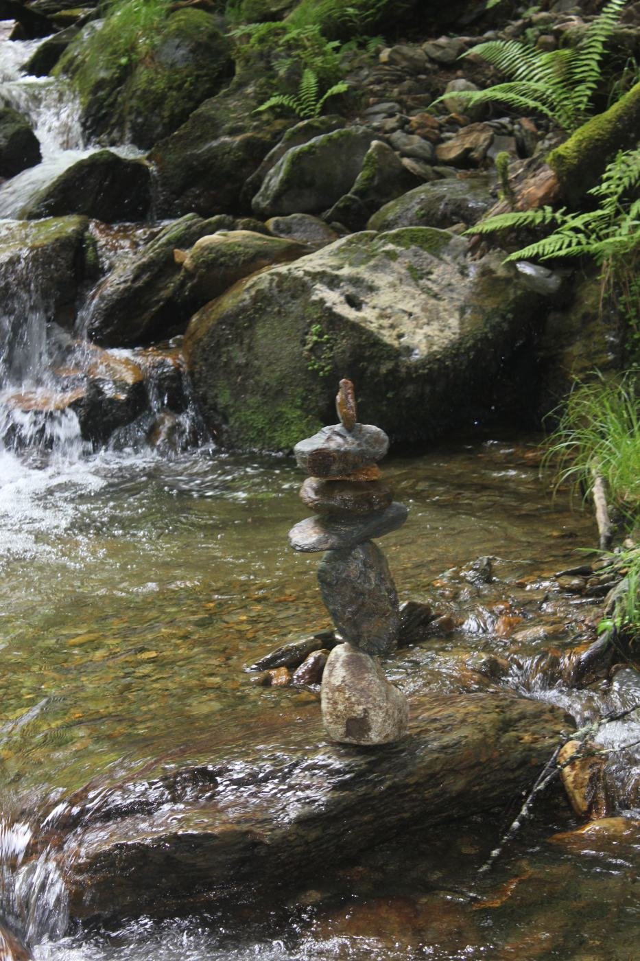 Ruisseau moussu en sous-bois humide, fougères et petit cairn
