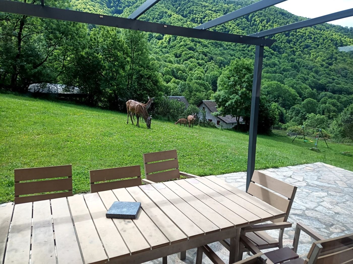 La terrasse du gîte face aux prés, où broutent des biches