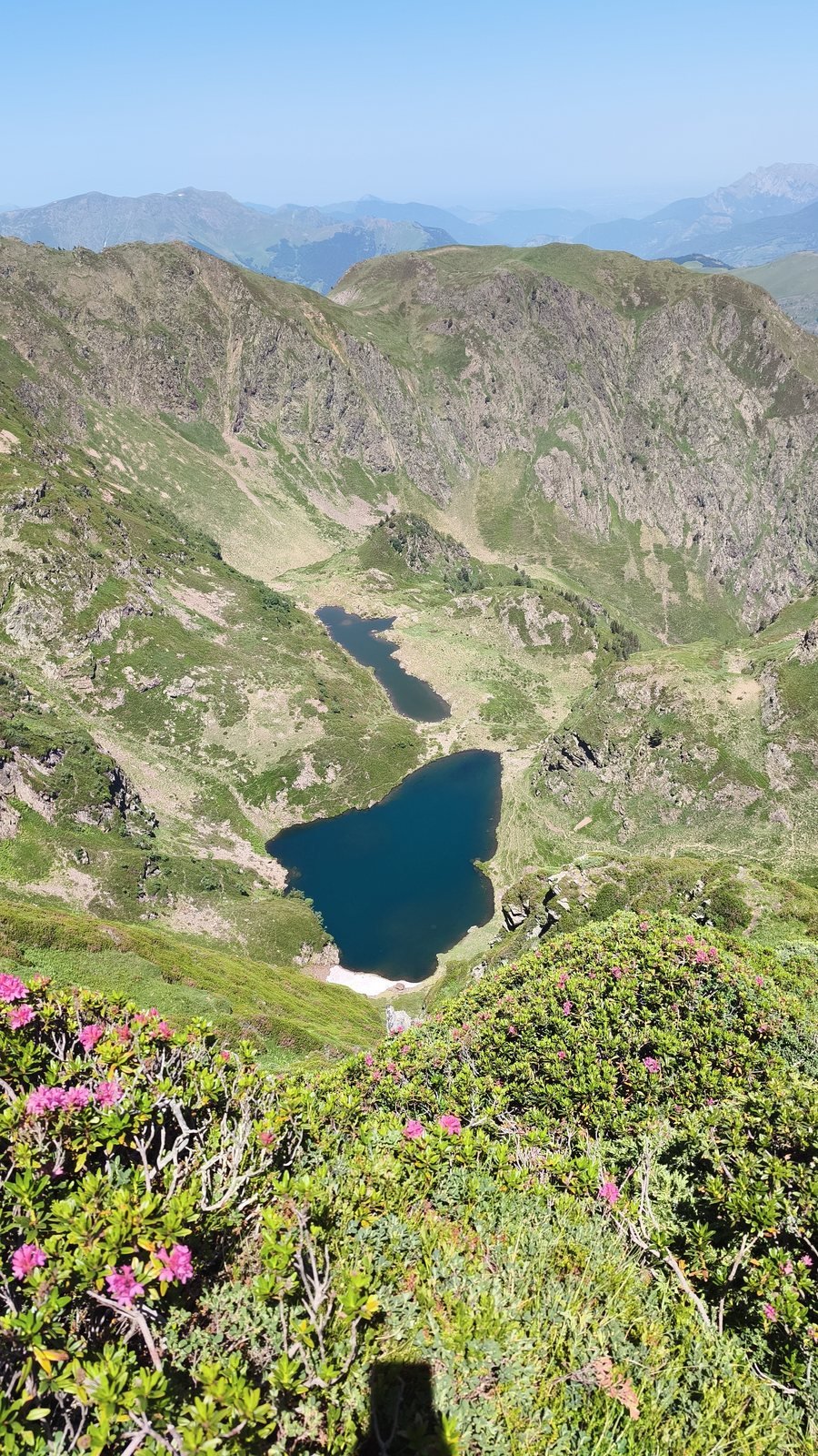 Deux lacs d'altitude vus d'une crête fleurie de rhododendrons, dans la sierra de Sescojarda